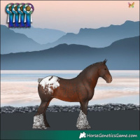Horse Color:Silver Brown Tobiano Blanket