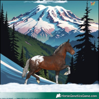 Horse Color:Silver Brown Tobiano Appaloosa