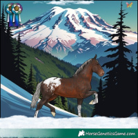 Horse Color:Silver Brown Tobiano Appaloosa 