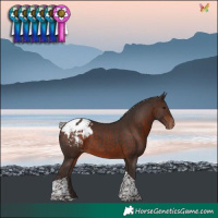 Horse Color:Silver Brown Tobiano Blanket 