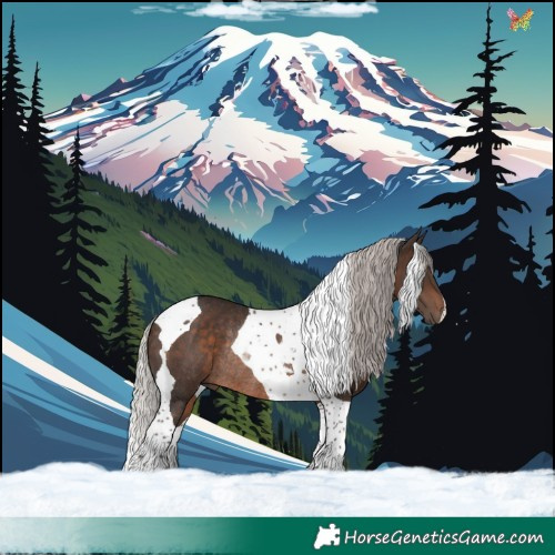 Horse Color:Silver Brown Tobiano Rabicano 
