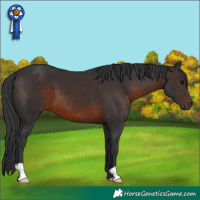 Horse Color:Brown 