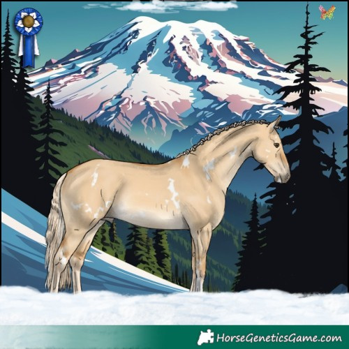 Horse Color:White Spotted Palomino Dun Rabicano 