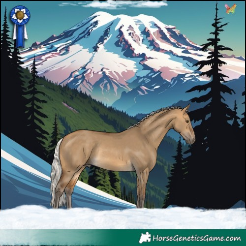 Horse Color:Silver Buckskin Dun Rabicano 