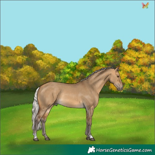 Horse Color:Silver Buckskin Dun Rabicano 