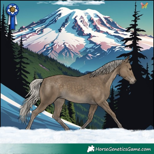 Horse Color:Silver Smoky Black 