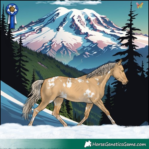 Horse Color:White Spotted Palomino Dun Rabicano 