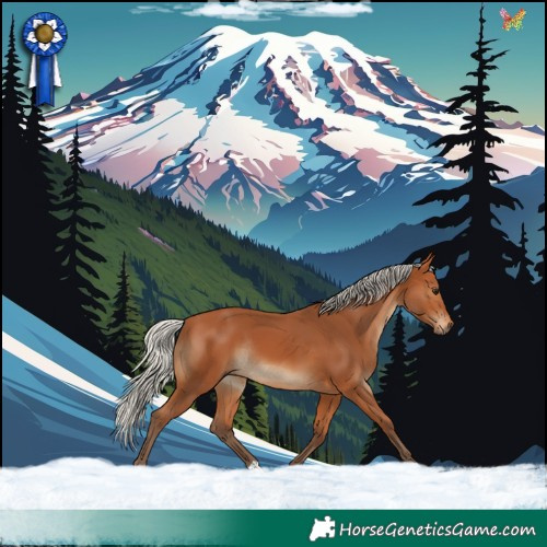 Horse Color:Silver Bay Rabicano 