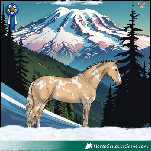 Horse Color:White Spotted Palomino Dun 