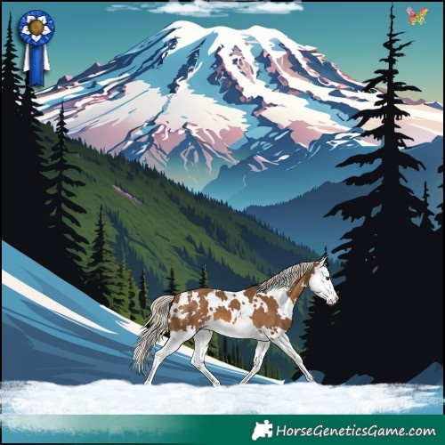 Horse Color:White Spotted Chocolate Palomino Sabino Splash