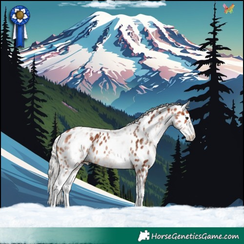 Horse Color:White Spotted Silver Bay Leopard 