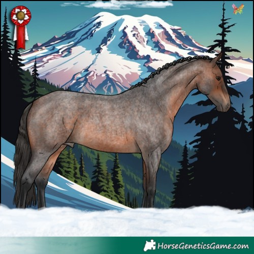 Horse Color:Brown Roan