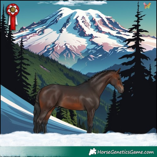 Horse Color:Brown 