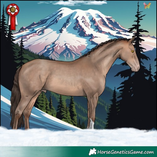 Horse Color:Amber Champagne Tobiano