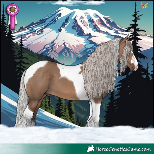 Horse Color:Silver Brown Dun Tobiano 
