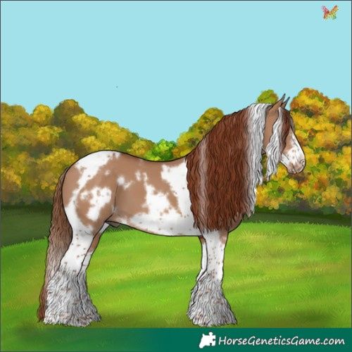Horse Color:White Spotted Red Dun Tobiano Frame 