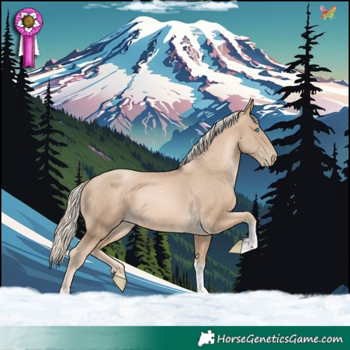 Horse Color:Chocolate Palomino Pearl Tobiano 