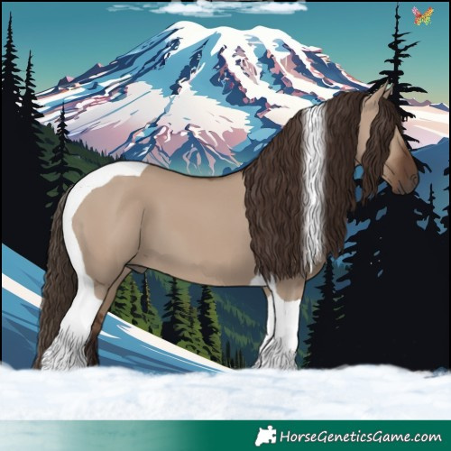 Horse Color:Liver Red Dun Tobiano 