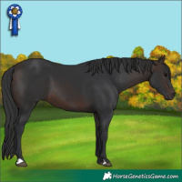 Horse Color:Brown 
