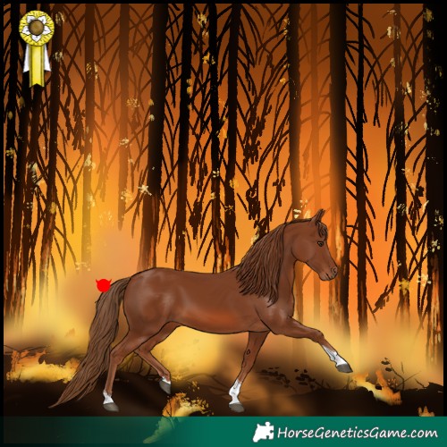 Horse Color:Chestnut Tobiano 