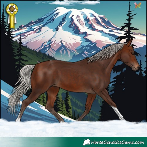 Horse Color:Silver Bay Tobiano 