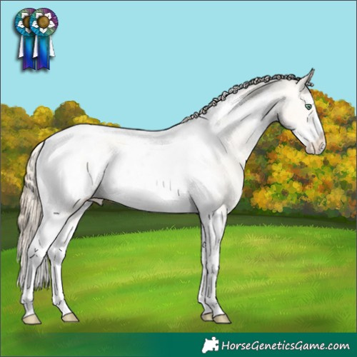 Horse Color:Amber Cream Champagne Dun Sabino Splash Tobiano Frame Appaloosa Rabicano 