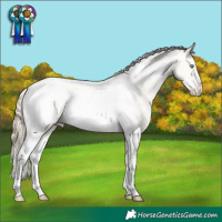 Horse Color:Amber Cream Champagne Dun Sabino Splash Tobiano Frame Appaloosa Rabicano 