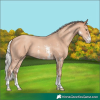 Horse Color:Silver Sable Champagne Sabino 