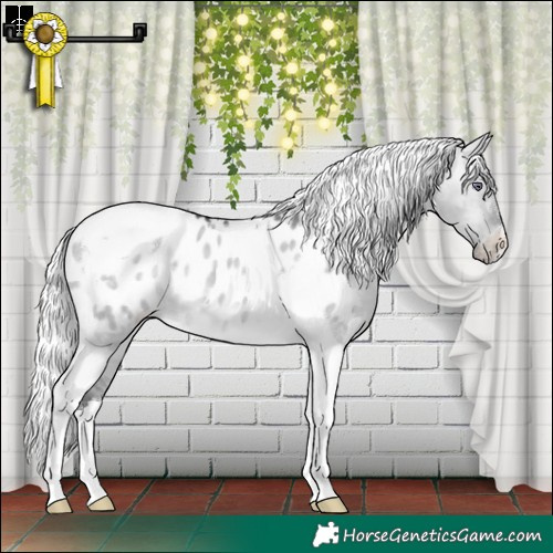 Horse Color:Silver Brown Chinchilla Dun Tobiano Appaloosa 