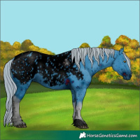 Horse Color:ERROR: UNKNOWN ANOMALY
