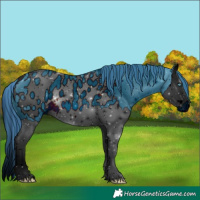 Horse Color:ERROR: UNKNOWN ANOMALY