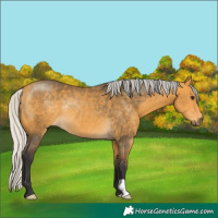 Horse Color:Silver Buckskin Rabicano