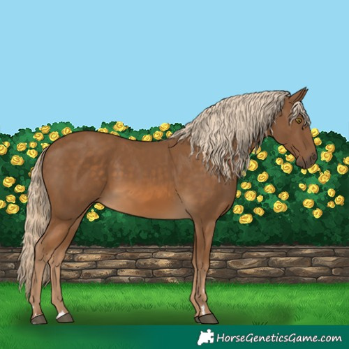 Horse Color:Chocolate Palomino 