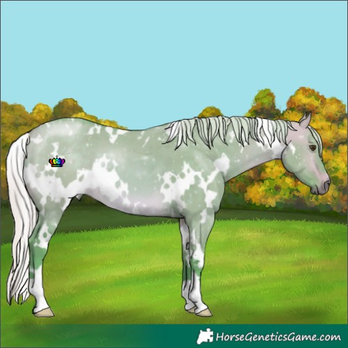 Horse Color:Watercolor White Spotted Silver Buckskin Dun