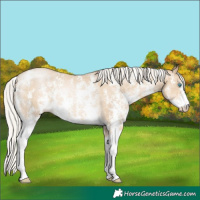 Horse Color:Silver Smoky Black Pearl Sabino Rabicano 