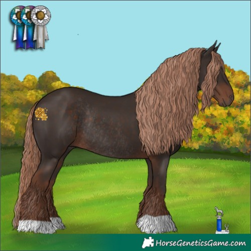 Horse Color:Liver Chestnut Rabicano 