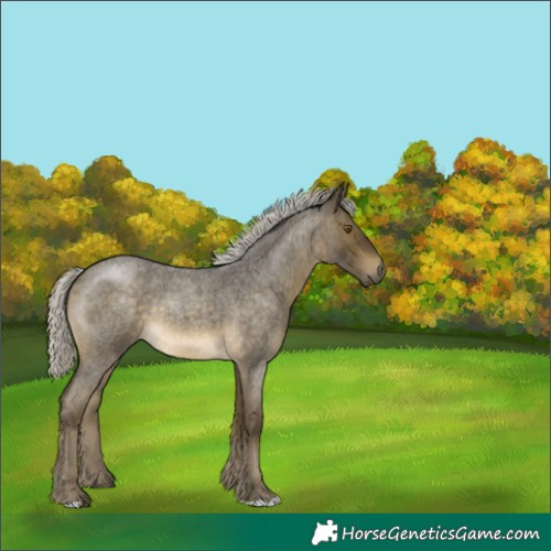 Horse Color:Silver Buckskin Roan 