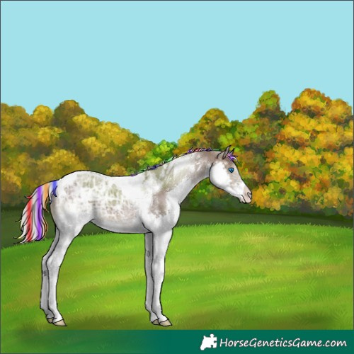 Horse Color:Painted Silver Brown Ice Dun Splash Tobiano 