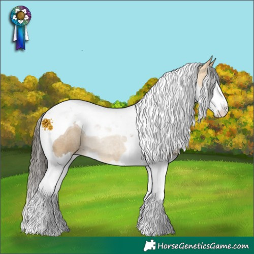 Horse Color:White Spotted Buckskin Splash Tobiano 