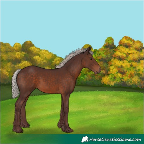 Horse Color:Chocolate Silver Brown 