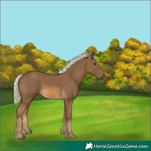 Horse Color:Chocolate Palomino 