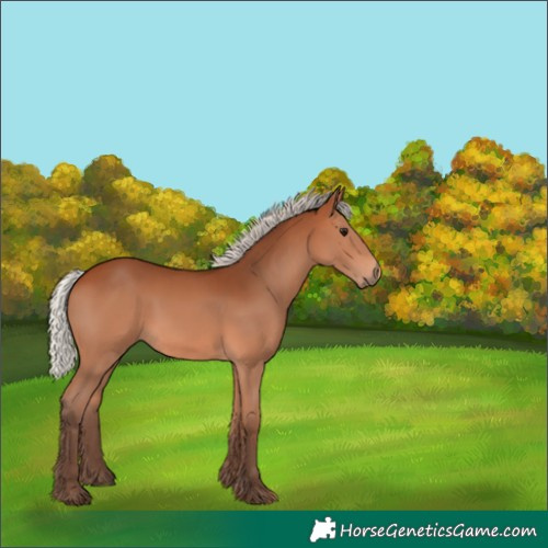 Horse Color:Silver Bay 