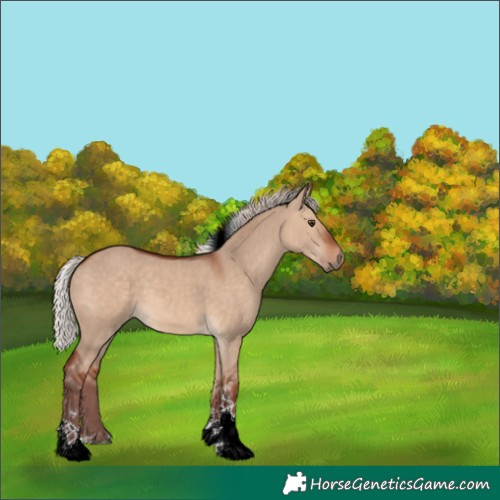 Horse Color:Chocolate Silver Bay Dun Tobiano 