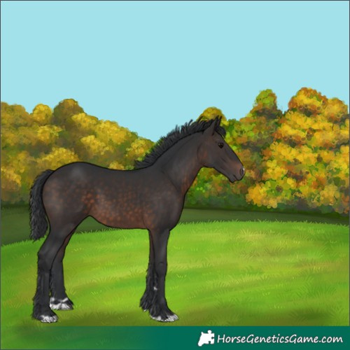 Horse Color:Brown 