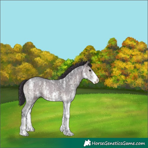 Horse Color:Brown Ice Onyx Sabino 