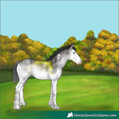 Horse Color:Platinum Plaid  White Spotted Brown Ice Onyx Splash 