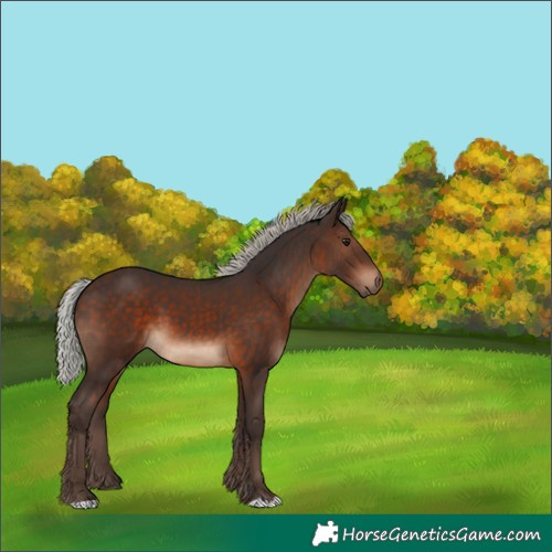 Horse Color:Silver Brown 