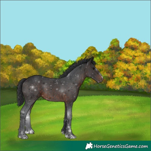 Horse Color:Brown 