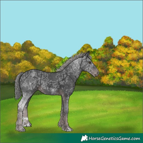 Horse Color:Platinum Liver Chestnut Ice 