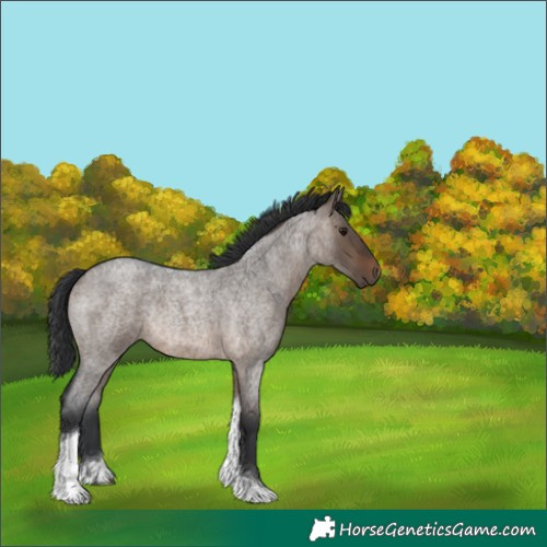 Horse Color:Brown Roan Dun Tobiano Rabicano 